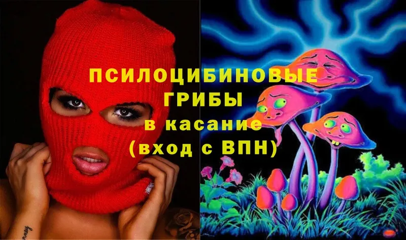 что такое   Лакинск  Галлюциногенные грибы Cubensis 